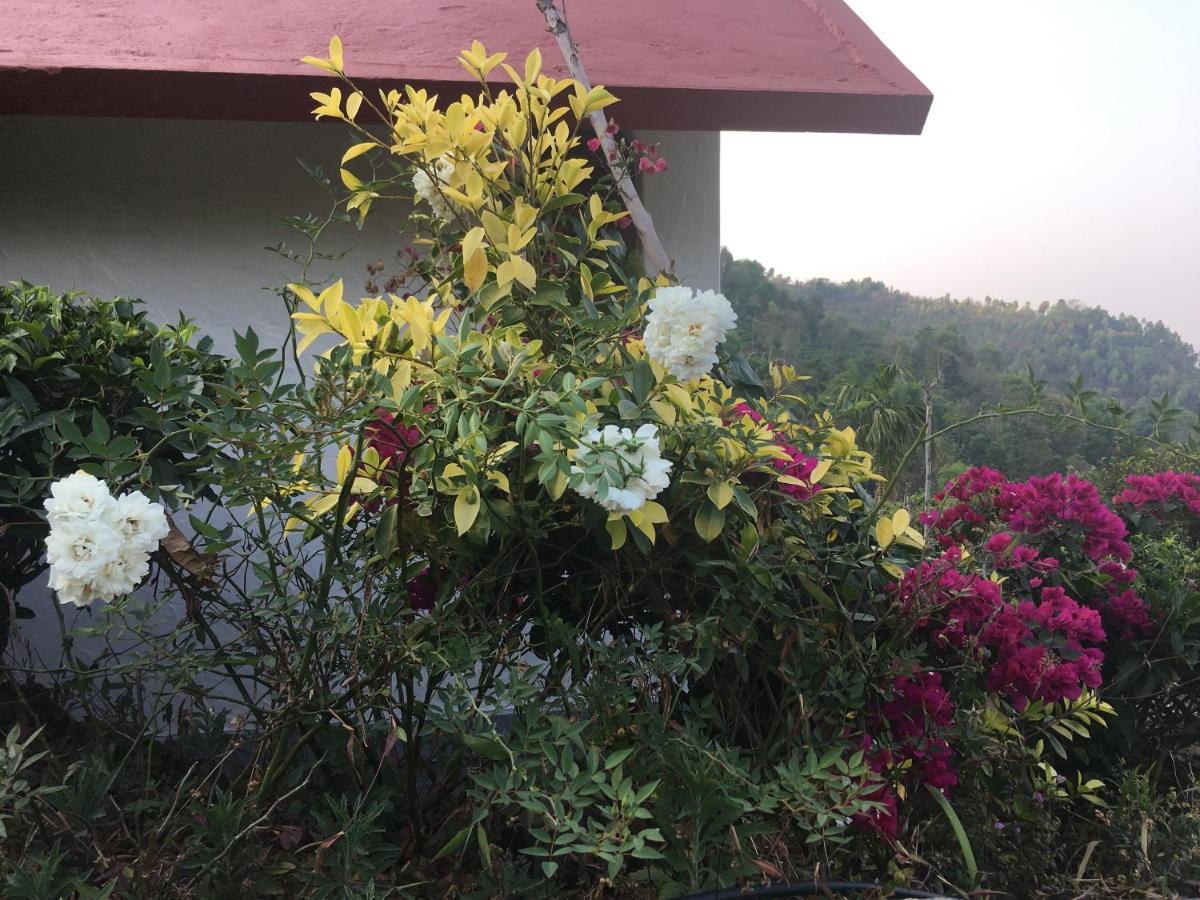 Tea Terrace Vythiri Hotel Wayanad Bagian luar foto