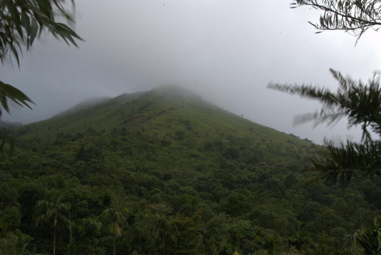 Tea Terrace Vythiri Hotel Wayanad Bagian luar foto
