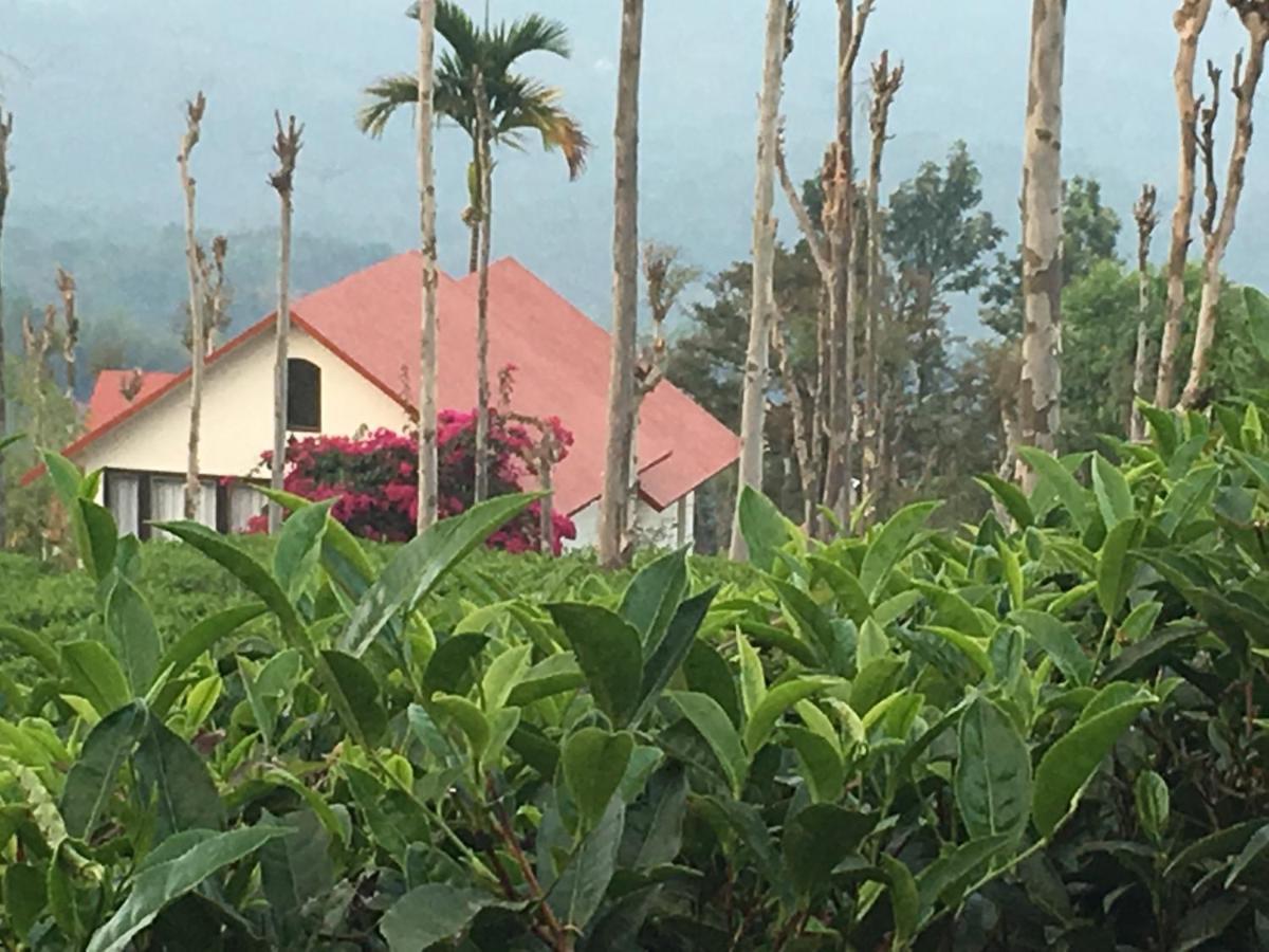 Tea Terrace Vythiri Hotel Wayanad Bagian luar foto