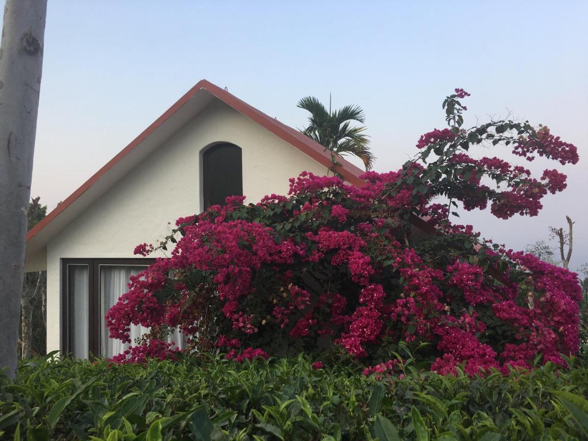 Tea Terrace Vythiri Hotel Wayanad Bagian luar foto