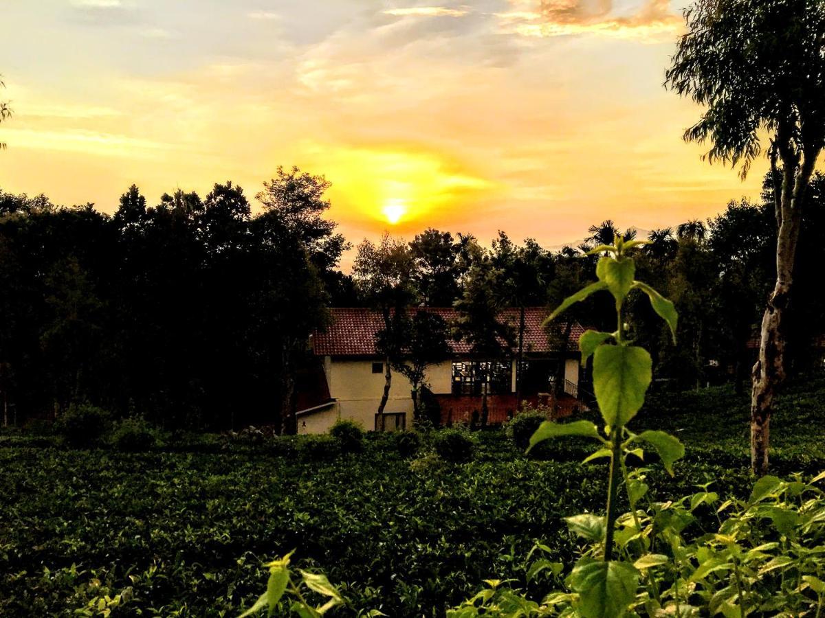 Tea Terrace Vythiri Hotel Wayanad Bagian luar foto