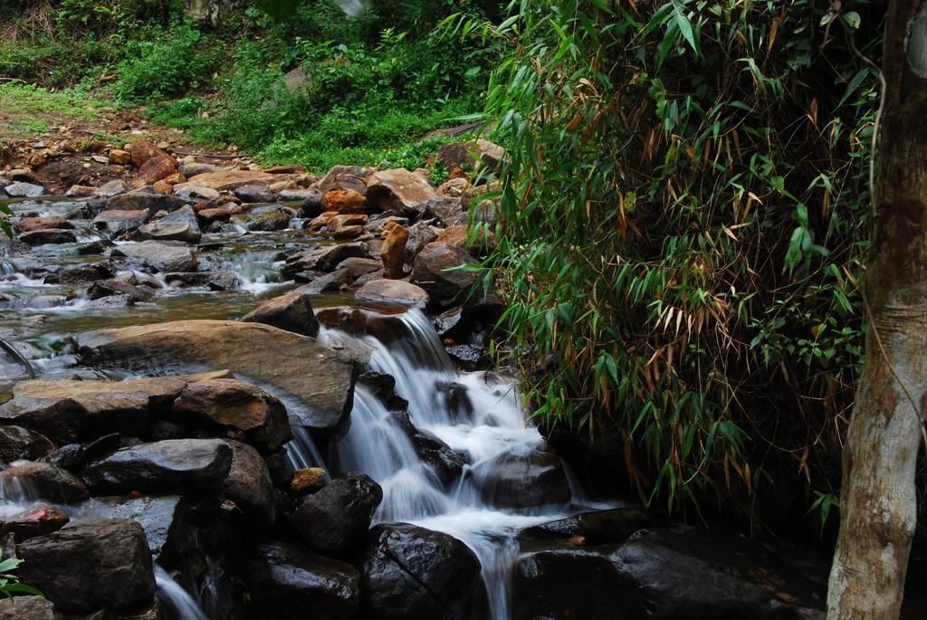 Tea Terrace Vythiri Hotel Wayanad Bagian luar foto