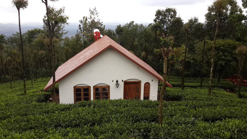Tea Terrace Vythiri Hotel Wayanad Ruang foto